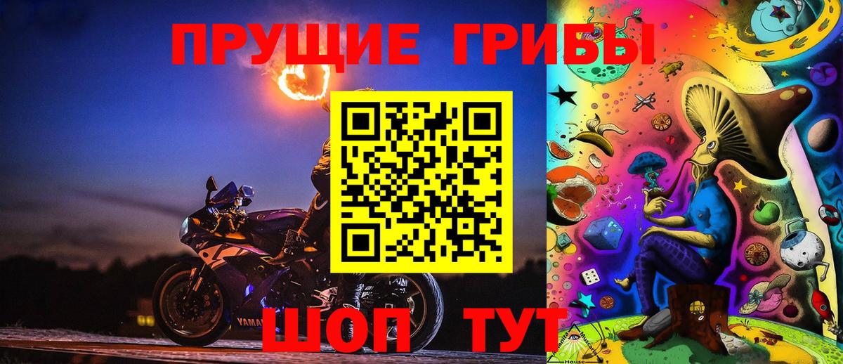 Галлюциногенные грибы Psilocybine cubensis  Вход с VPN  Благовещенск 